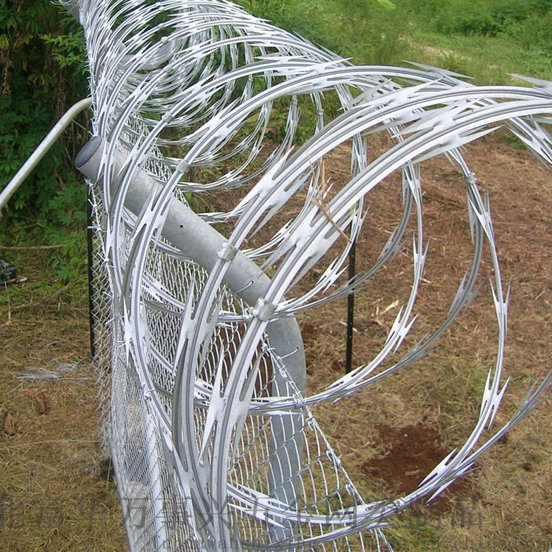 Stainless Steel Concertina Wire