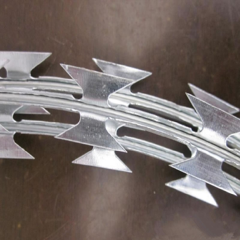 Stainless Steel Concertina Wire