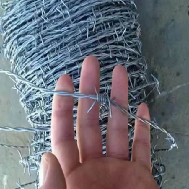 Hot Dipped Galvanized Barbed Wire