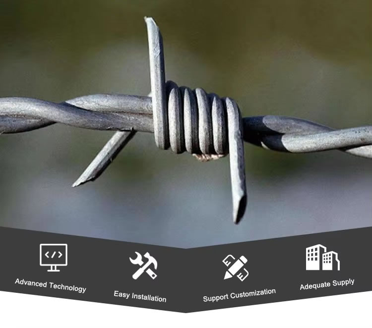 Hot Dipped Galvanized Barbed Wire(pic1) Hot Dipped Galvanized Barbed Wire(pic1)