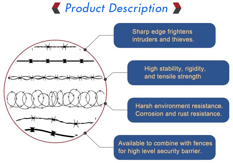 Hot Dipped Galvanized Barbed Wire(pic3) Hot Dipped Galvanized Barbed Wire(pic3)
