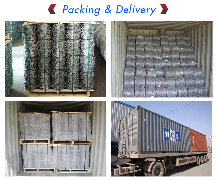 Hot Dipped Galvanized Barbed Wire(pic7) Hot Dipped Galvanized Barbed Wire(pic7)