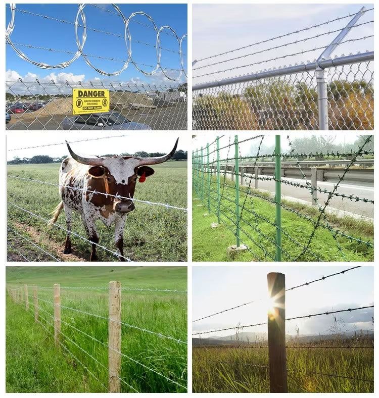 Hot Dipped Galvanized Barbed Wire(pic6) Hot Dipped Galvanized Barbed Wire(pic6)